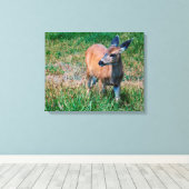 Hert- Canvas Afdruk (Insitu (Houten vloer))