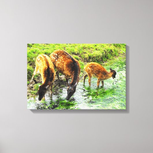 Hert dier canvas afdruk (Voorkant)
