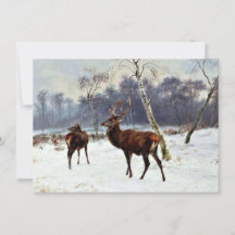 Hert en hinde in een besneeuwd landschap