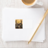 hert etiket (Insitu)