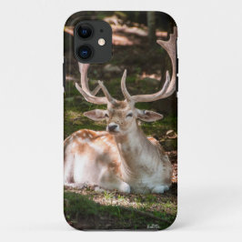 hert foto onder de bomen Case-Mate iPhone case