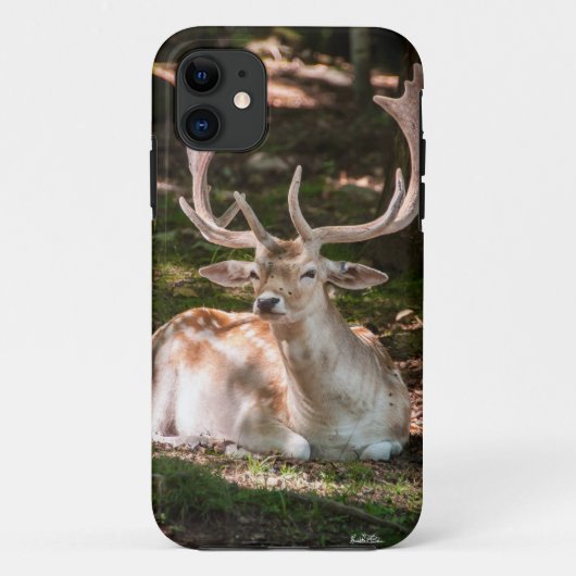 hert foto onder de bomen Case-Mate iPhone case (Achterkant)