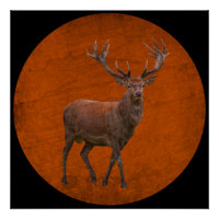hert in oranje natuur met vintage sfeer