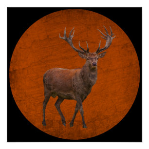 hert in oranje natuur met vintage sfeer perfect poster