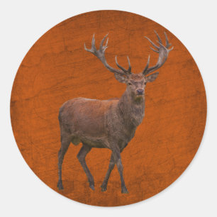 hert in oranje natuur met vintage sfeer ronde sticker
