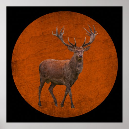 hert in oranje natuur vintage poster (Voorkant)
