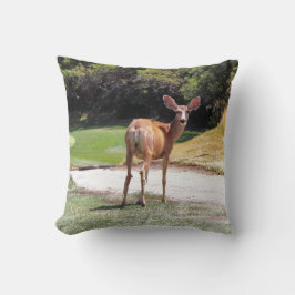 hert kijkt camera foto kussen