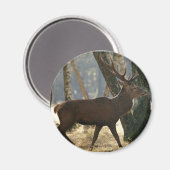 hert magneet (Voorkant / Achterkant)