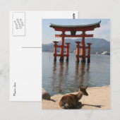 hert miyajima briefkaart (Voorkant / Achterkant)