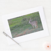 hert rechthoekige sticker (Envelop)