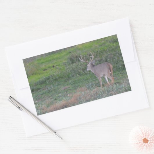 hert rechthoekige sticker (Envelop)