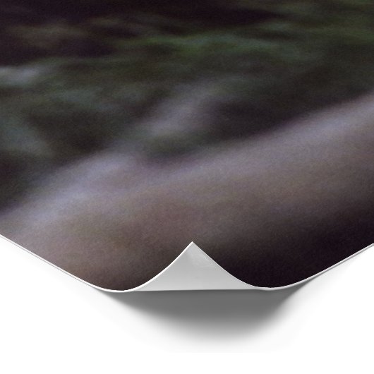 hert tussen bomen poster (Hoek)