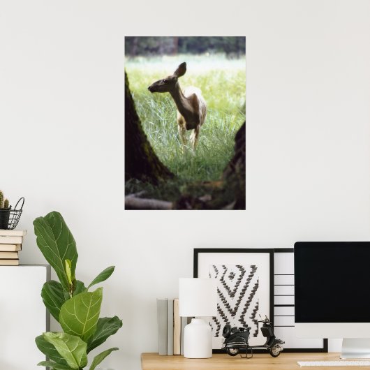 hert tussen bomen poster (Thuiskantoor)