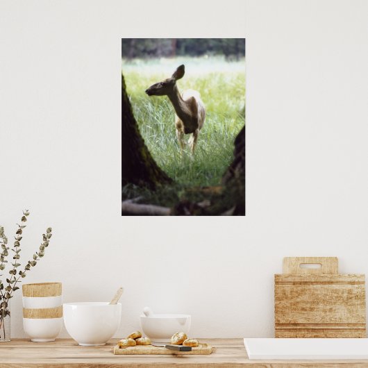 hert tussen bomen poster (Keuken)