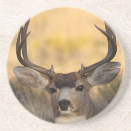 hert zandsteen onderzetter