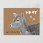 HERTelijk Gefeliciteerd Verjaardags Briefkaart (Voorkant)