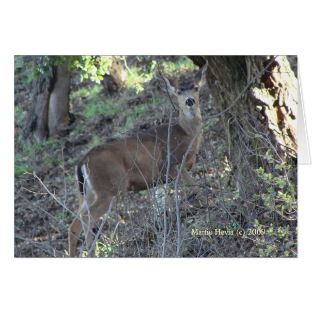 Herten (1a) -  (Voorkant Horizontaal)