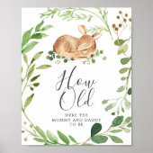 Herten Baby shower hoe oud waren ze spel Poster (Voorkant)
