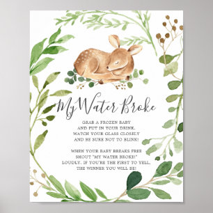 Herten Baby Shower Mijn Vruchtwater Is Gebroken Bo Poster