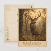 Herten Bosland VINTAGE Briefkaart (Voorkant / Achterkant)