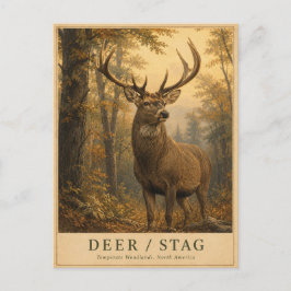 Herten Bosland VINTAGE Briefkaart