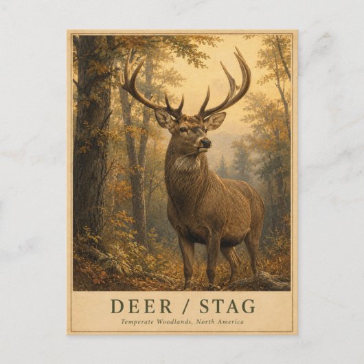 Herten Bosland VINTAGE Briefkaart (Voorkant)