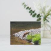 HERTEN BRIEFKAART (Staand voorkant)