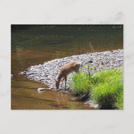 HERTEN BRIEFKAART (Voorkant)