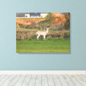 Herten canvas afdruk (Insitu (Houten vloer))