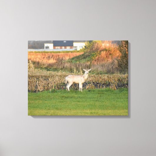 Herten canvas afdruk (Voorkant)