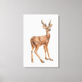 Herten Canvas Print (Voorkant)