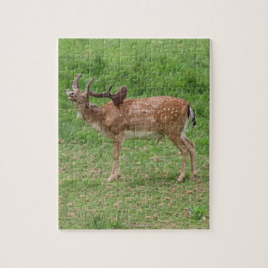 herten, damherten in de buitenlucht legpuzzel (Verticaal)