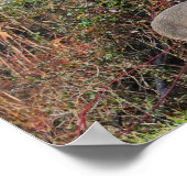 Herten door Struik Foto Poster (Hoek)