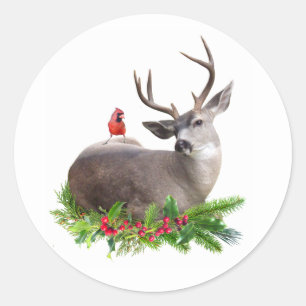Herten en kardinaal met Holly Stickers