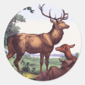 Herten familie  ronde Sticker (Voorkant)