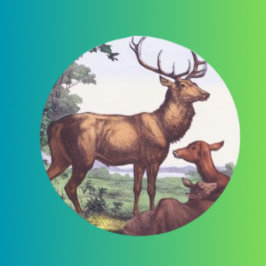 Herten familie ronde Sticker