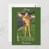 Herten Foto Kerst Briefkaart (Voorkant / Achterkant)