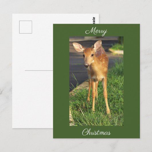 Herten Foto Kerst Briefkaart (Voorkant / Achterkant)