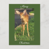 Herten Foto Kerst Briefkaart (Voorkant)