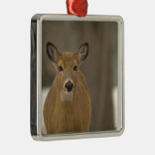 Herten Foto Ornament (Rechts)
