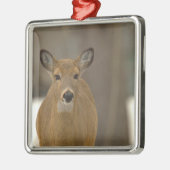 Herten Foto Ornament (Links)