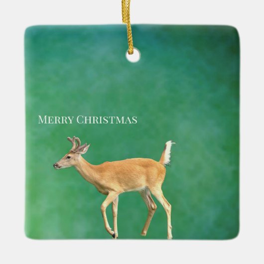 Herten Foto Ornament  (Voorkant)