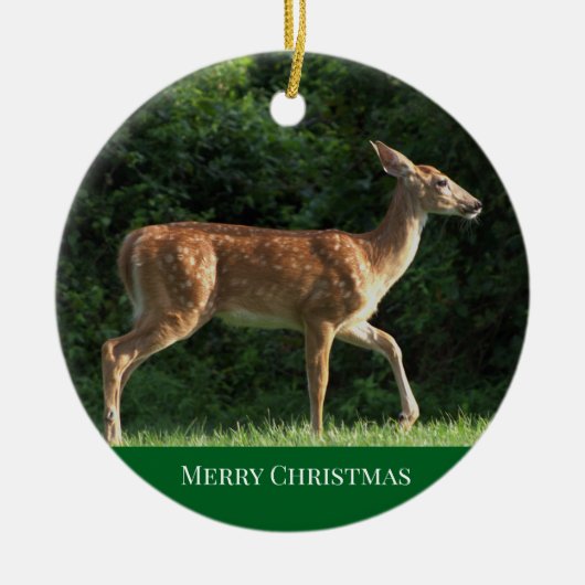 Herten Foto Ornament (Voorkant)