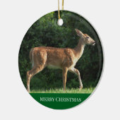 Herten Foto Ornament (Links)