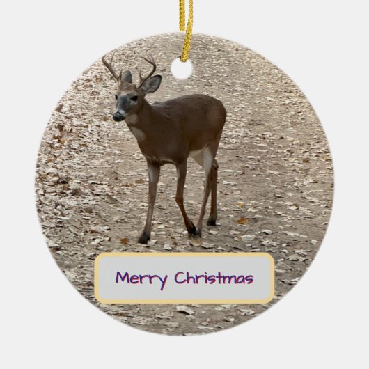 Herten Foto Ornament (Voorkant)