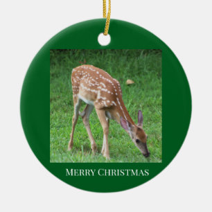 Herten Foto Ornament