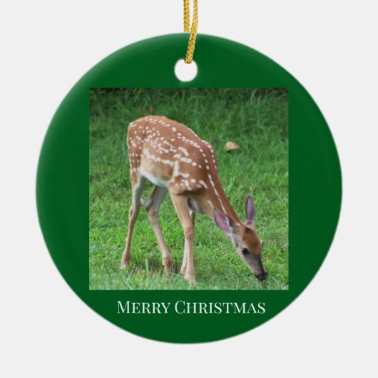 Herten Foto Ornament (Voorkant)