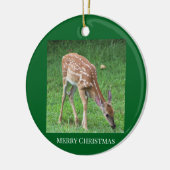 Herten Foto Ornament (Links)