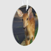 Herten Foto Ornament  (voorkant)