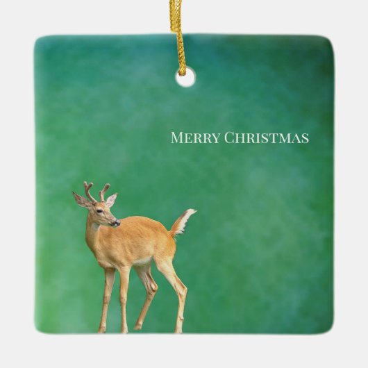 Herten Foto Ornament (Voorkant)